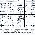 1880_Petersen, 1880 census